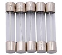 Dresselhaus glazen zekering glass fuses 6x32mm 10a f. american fahrz. - thumbnail