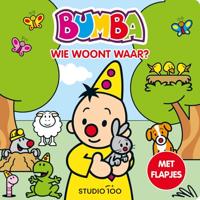 Studio 100 Bumba kartonboek met flapjes - wie woont waar? - thumbnail