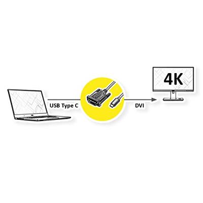 ROLINE USB type C - DVI adapterkabel, M/M, 1 m