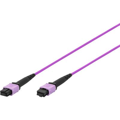 Digitus DK-2566-02/4 Glasvezel Glasvezelaansluitkabel 2 m Violet, Zwart Extreem dun, Flexibele binnenader, Glasvezelband, Koudebestendig, Met anti-kniktule,