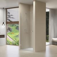 Nisdeur Van Rijn Draaideur 8 mm Met Vaste Wand 97x200 cm Chroom - thumbnail