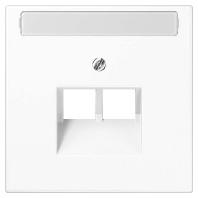 JUNG LS 969-2 NAUA SWM izetplaat 2x RJ45 LS990 grafiet mat zwart voor dubbele computeraansluiting