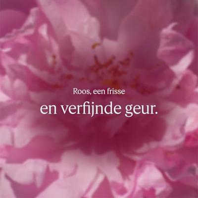 L&apos;Occitane Rose Hand Cream Hand- en voetverzorging 30 ml