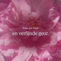 L&apos;Occitane Rose Hand Cream Hand- en voetverzorging 30 ml - thumbnail