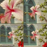 Hoya Filter Close-Up Set (+1, +2, +4), HMC II - 82mm - thumbnail