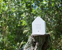 RELAXSOUND - Zwitscherbox - Vogels White - thumbnail