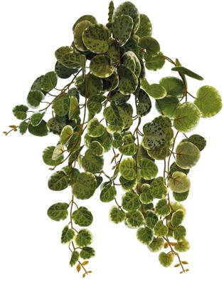Plant hanging round leaves 46 cm Repto - Repto Plant hanging round leaves 46 cm Repto - Repto