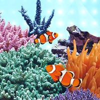 Juwel LED lamp Marine 23 Watt 895 mm - LED Tube Juwel Gebr. de Boon - Gebr de boon - thumbnail