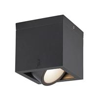 SLV Led plafondspotEskina - 1006316 - thumbnail