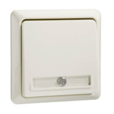 ELSO-toets 502110 10 A verlicht RENOVERING pw 1 stuk(s) ELSO-toets 502110 10 A verlicht RENOVERING pw 1 stuk(s)