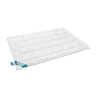 Vandyck Thermo Dekbed Solo