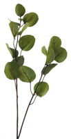 Eucalyptus leaf spray dk green 80cm - thumbnail