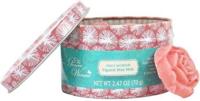Diversen Waxmelts sugared watermelon 10 stuks in vintage opbergblikje - thumbnail