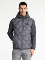 CHASIN' Jassen Theo Hybrid - thumbnail