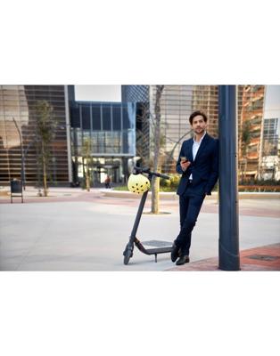 Ninebot by Segway E22E 20 km/h Grijs