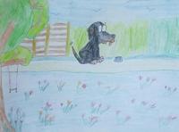 De avonturen van Blacky - Nupur Geerds-Deen - Paperback (9789402133295) - thumbnail