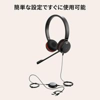 Jabra Evolve 20 SE Headset Bedraad Hoofdband Kantoor/callcenter USB Type-C / USB Type-A Zwart - thumbnail