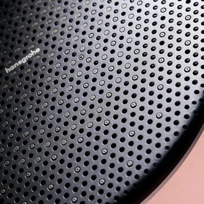 Hansgrohe Raindance Alive S regendoucheset Ø30cm chroom