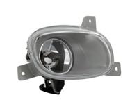 Mistlamp rechts 190607059 - thumbnail