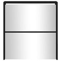 Schoenenkast met spiegel 2-laags 63x17x67 cm zwart - thumbnail