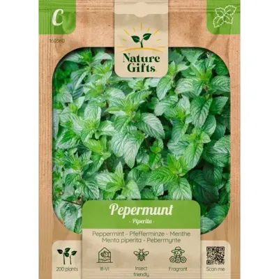 Pepermunt piperita 200st Pepermunt piperita 200st