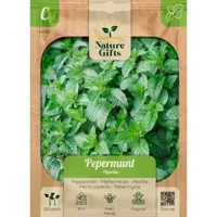 Pepermunt piperita 200st - thumbnail