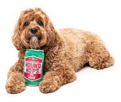 Fuzzyard hound hops pluche