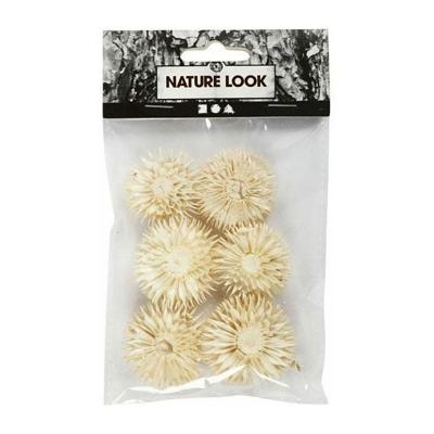 Creativ Company Gedroogde bloemen