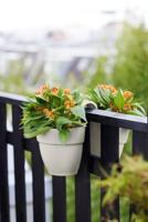 Elho vibia campana flower twin 21 zijdewit - thumbnail