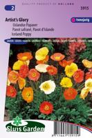 Papaver Nudicaule zaden Artist's Glory IJslandse - thumbnail