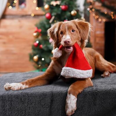Nobleza Huisdier Deken Zachte Warme Hondendeken Wasbare Fleece Kattendeken Geschikt voor Kleine Middelgrote Hond Puppy Katten Huisdier Grijs 100 * 120cm