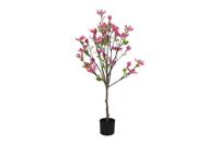 Decostar Magnolia Loebneri plant 120 cm roze - thumbnail