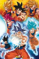 Poster Dragon Ball - Super Gokus transformations 61x91,5cm - thumbnail
