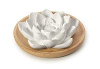 Primavera Geursteen lotusbloem 1 Stuks - thumbnail