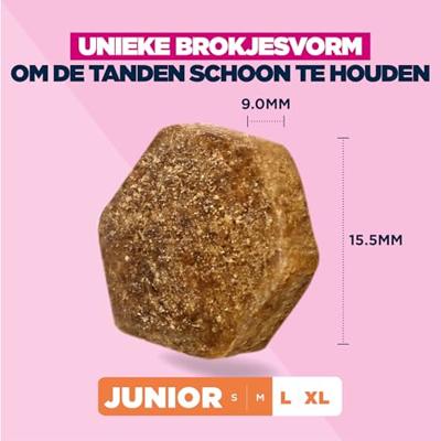 Eukanuba Junior Hondenvoer Droog met verse kip voor grote rassen, premium droogvoer voor honden in de groei, 15 kg