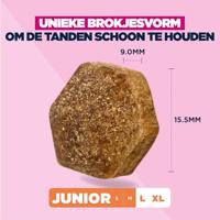 Eukanuba Junior Hondenvoer Droog met verse kip voor grote rassen, premium droogvoer voor honden in de groei, 15 kg - thumbnail