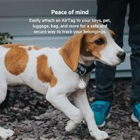 Belkin Beschermende houder met sleutelhanger voor AirTag - 2-pack sleeve - thumbnail