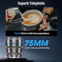 Sirui VA-5X Video Head - thumbnail