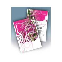 Cadeau premium Matthiola (100 zakjes) - thumbnail