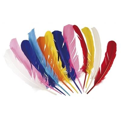 12 Gekleurde Veren Piet/Indiaan