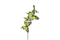 Decostar kunsttak Vlinder multi 4x 76 cm groen - thumbnail