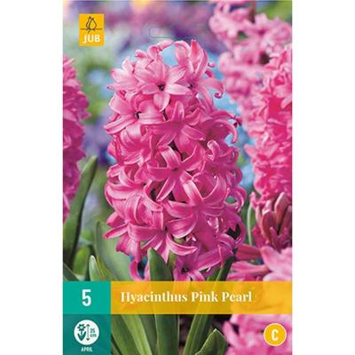 Hyacint pink pearl 5 bollen