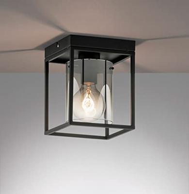 Fischer & Honsel PlafondlampSamu smoke glas - 21303