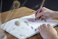 Schneider S-143806 Giftbox Callissima Vulpen Abrikoos - thumbnail