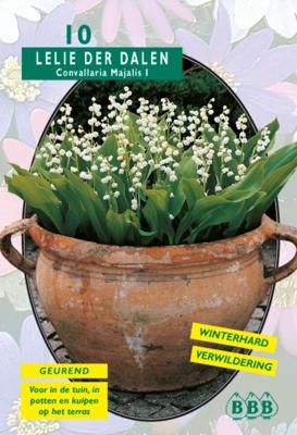 Convallaria Majalis (NJ) per 10 Bloembollen Baltus - Baltus