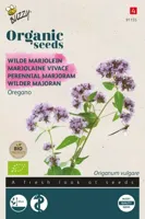 Zaden Organic Wilde Marjolein - Oregano (BIO) Buzzy - Buzzy - thumbnail