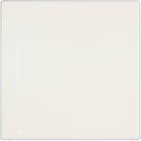 Jung LS 994 B WW Blindafdekking Afdekking LS 990, LS design, LS plus Alpine-wit 1 stuk(s) - thumbnail