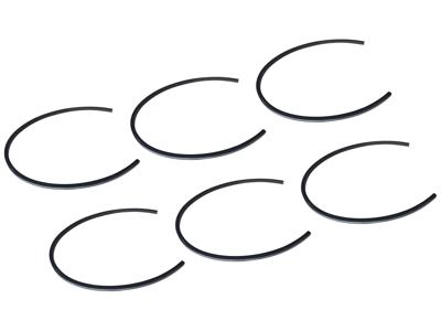 HOME DELUXE Strip Dina (6 stuks)