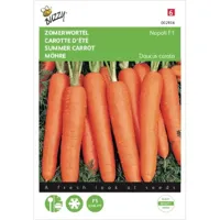 Zaden Zomerwortel Napoli F1 Buzzy - Buzzy - thumbnail