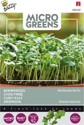 Microgreens, Boerenkool Westlandse Herfst